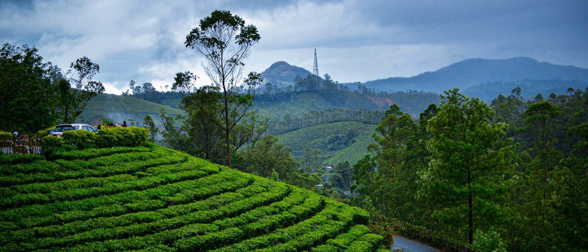 Munnar-big