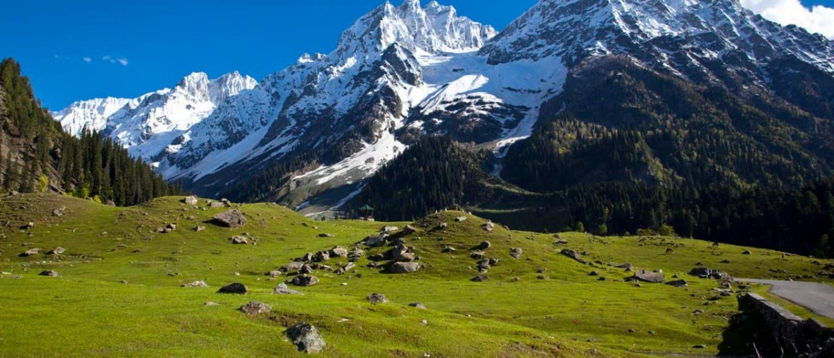 kashmir